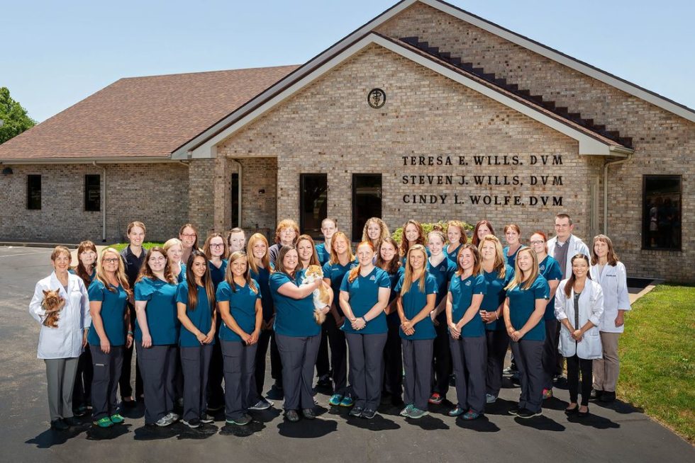 Veterinarian in Owensboro, KY 42303 Wills Animal Hospital