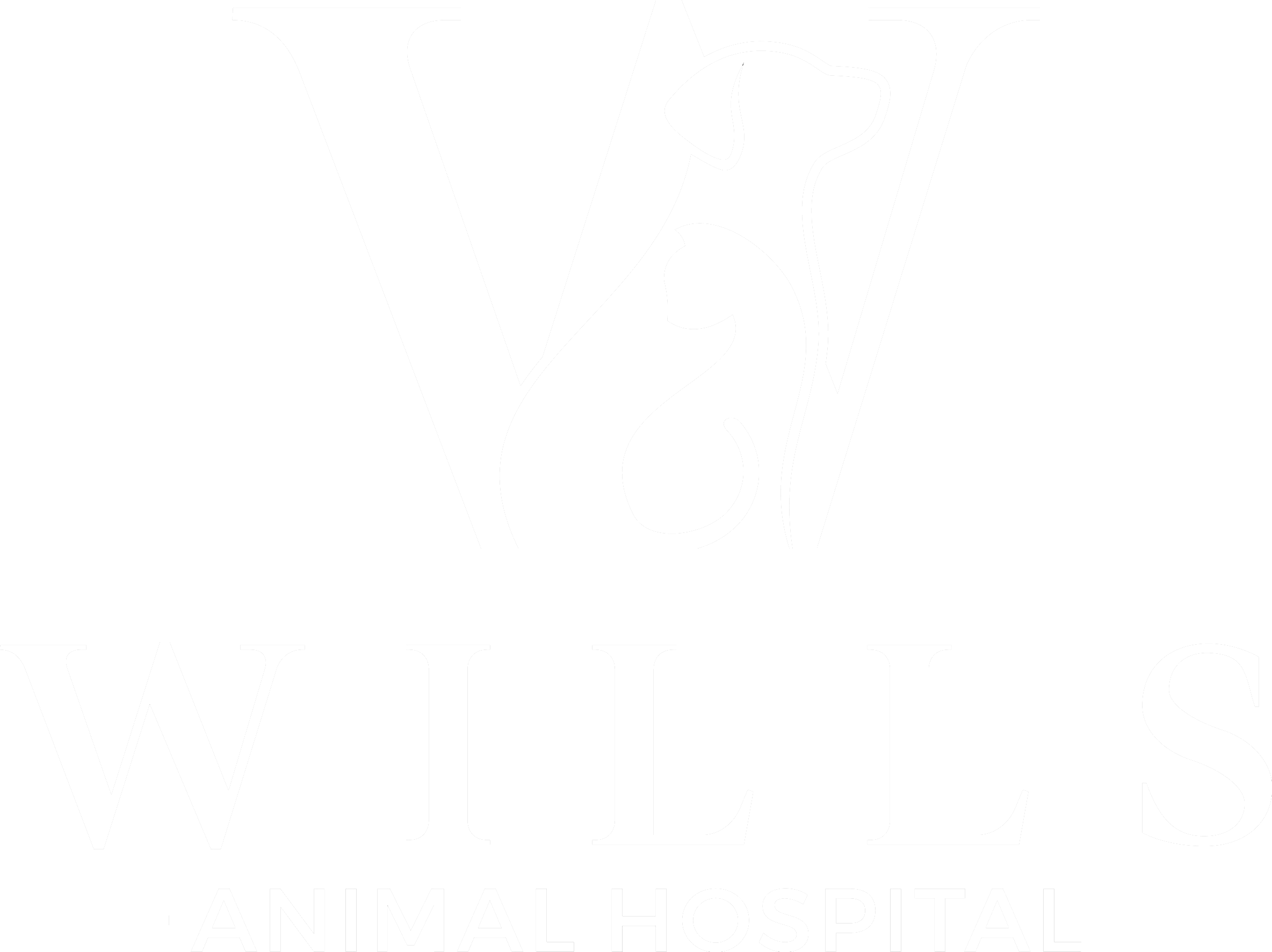 Wills Animal Hospital