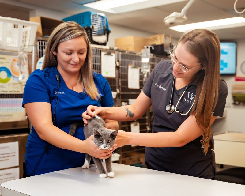 new hartford vet hospital